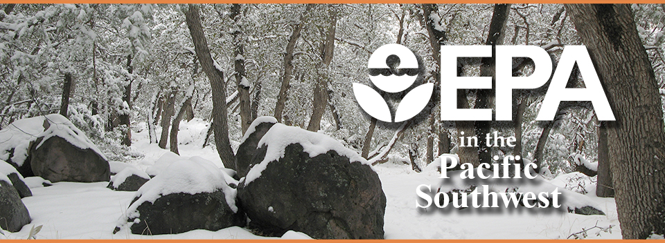 Chiricahua National Monument Snowy Forest Scene