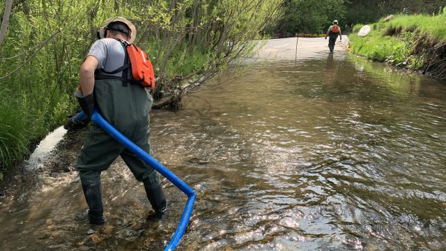 Man standing in the stream with equipment