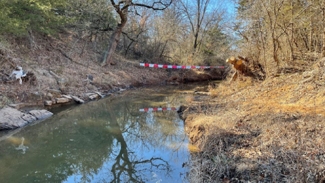 Remediation at Skull Creek 6 months after the oil spill.