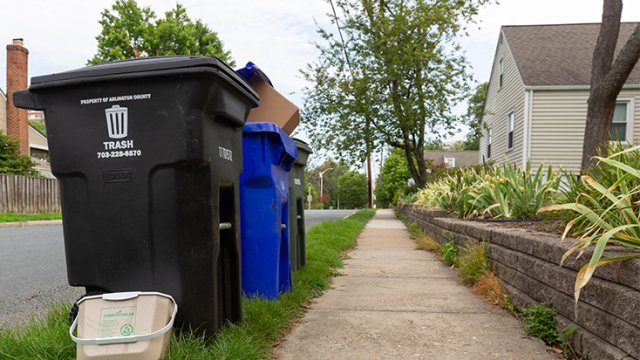 trash, recycling, and composting bins lined up along a residential curb