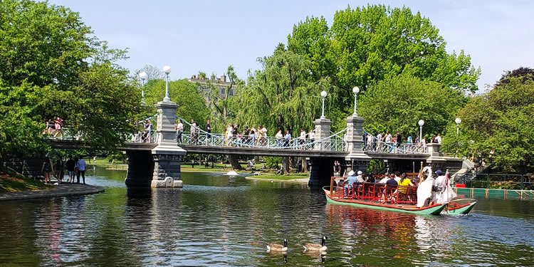 Swan boat about to go under Boston Public Garden Foot Bridge