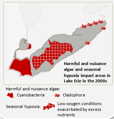 Map showing areas of Lake Erie, including the Detroit River and Lake St.Clair, that have been impacted by Harmful and nuisance algae and seasonal hypoxia in the 2000s.  Cyanobacteria impacts the eastern shore of Lake St. Clair, the entire western basin of Lake Erie; hypoxia the central basin; and cladophora in specific locations along the shores of the eastern basin. 