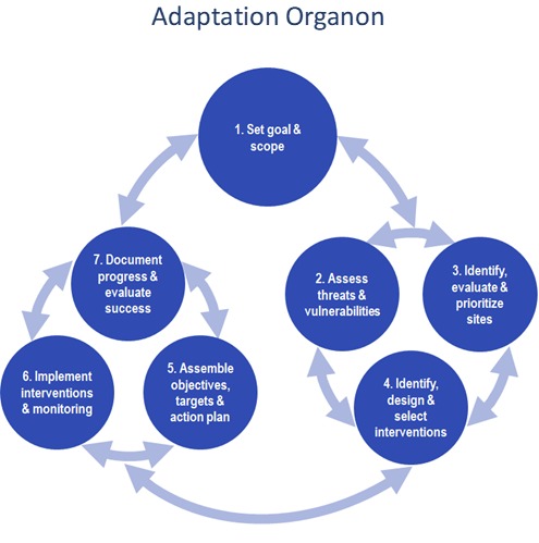 Adaptation Organon: a seven-step cycle showing key components of resilience-based planning.