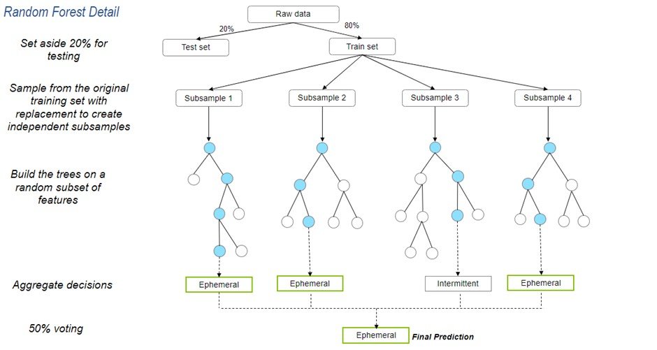 Random Forest model schematic