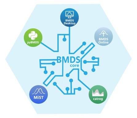 Hexagon presenting network of BMDS application icons