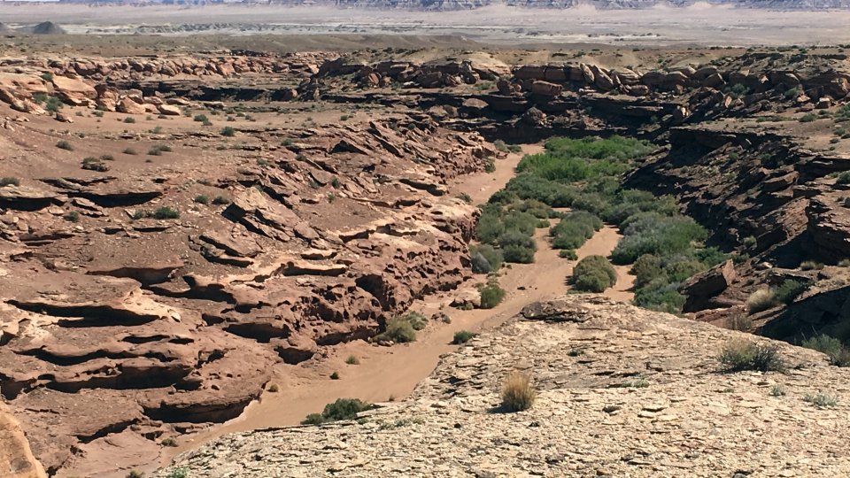 April 2019 View facing NE at mesa edge just SW of Lemuel Littleman No 2 mine site.