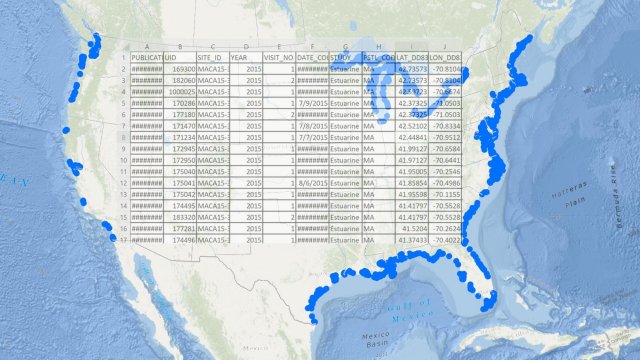 Map of sampling sites along U.S. sites and a partial NCCA benthic data screenshot