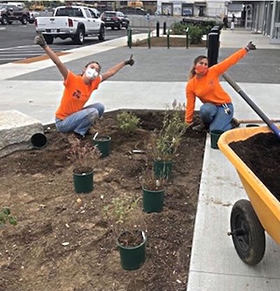 Stomwater Plantings in Providence