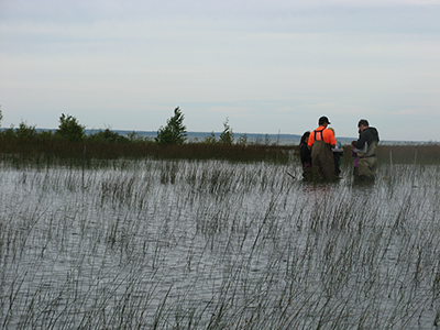 Men fishing in a marsh