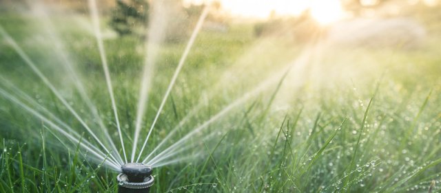 sprinkler watering grass