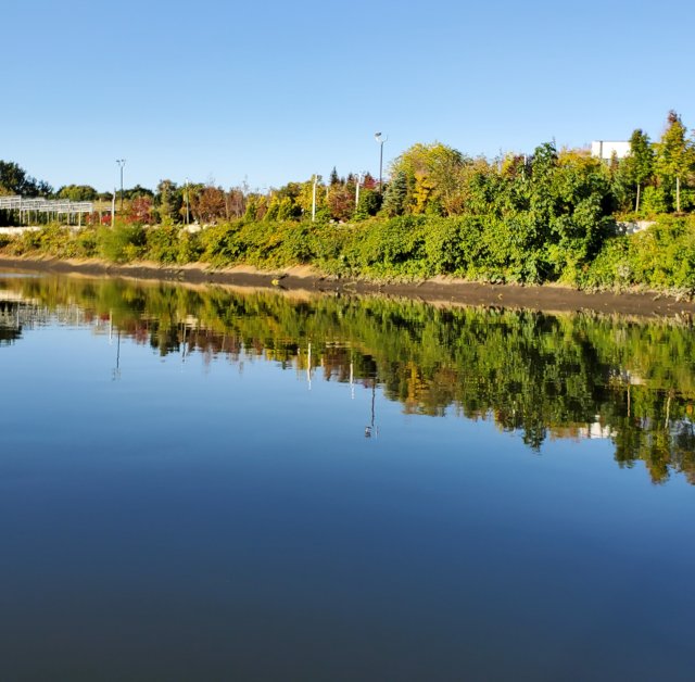 River at the Diamond Alkali Superfund Site