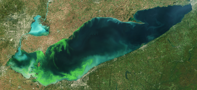 Lake Erie HABs