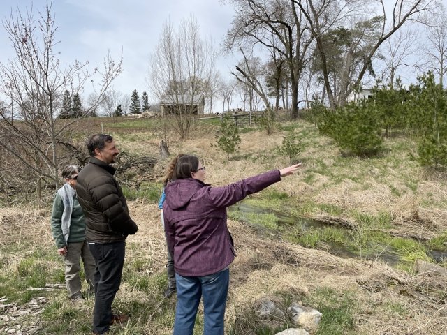 People standing looking and pointing at a stream.