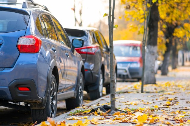 This image shows a street curb with cars, a sidewalk and street trees.