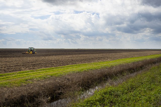 Figure 23. A vegetated ditch