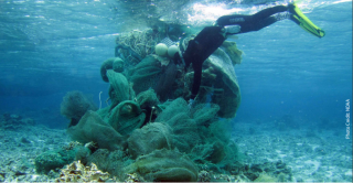 scuba diver underwater