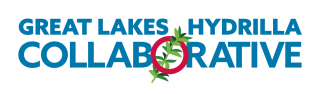 Graphic of Hydrilla collaborative