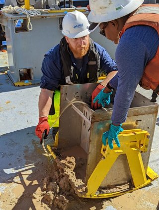 Siphoning the overlying water from the box core sample