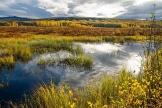 a scenic view of a wetland on a partly sunny day