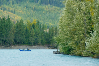 Two people on a blue kayak on a beautiful river, in a lush, green wooded area.