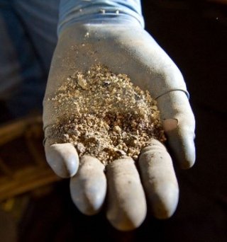 Hand in a protective thick rubber glove holds out a soil sample