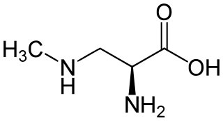 Beta-Methylamino-L-alanine chemical structure