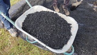 Biochar in a wheelbarrow.