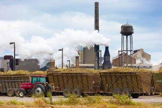 Sugar processing plant