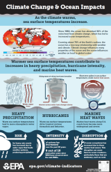 Illustrations and summary statistics on the impacts of sea surface temperature rise and related climate indicators. 